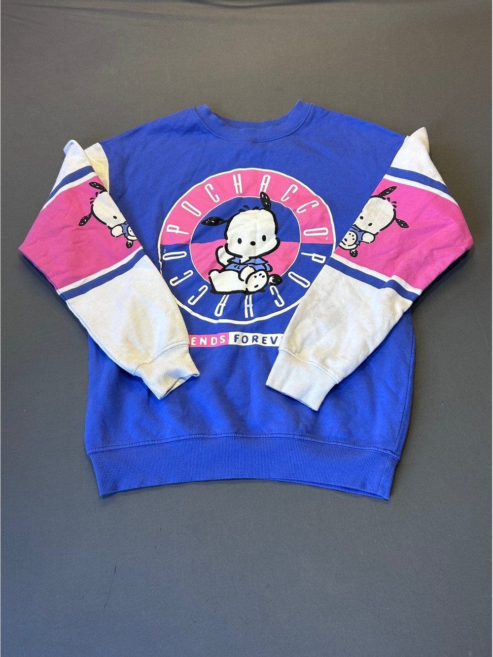 Sanrio Pochacco Colorblock Pullover Sweatshirt XS